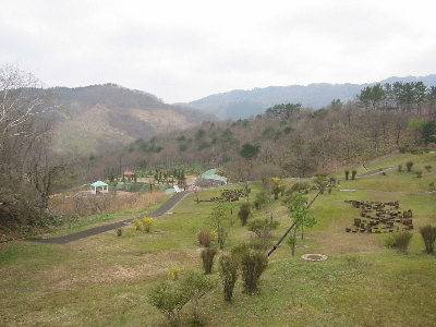 20070504.jpg
