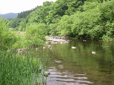 20070623-2.jpg