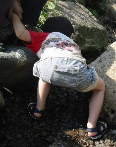 20070623.jpg