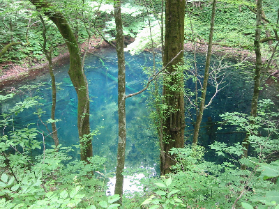 20070624-2.jpg