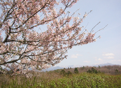 0424-1.jpg