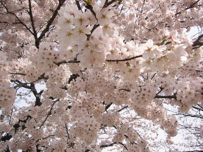 0424-5.jpg