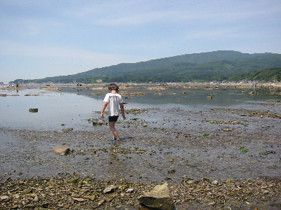 2007-07-07-1.jpg