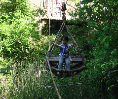 20070602-3.jpg
